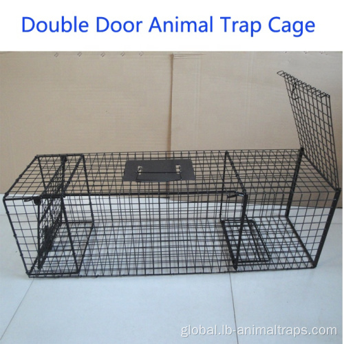 Sus304 Stainless Steel Wire Mesh Steel Wire Mesh Live Animal Trap Cages Manufactory